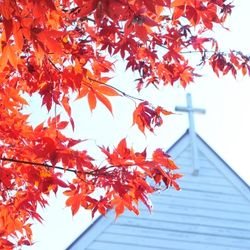 【豪華7大特典付SPフェア☆】2025.秋冬のご結婚式の方へ