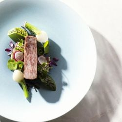 会場イチオシ年1SP♪20周年館内リニューアル完成♪人気6品フルコース0円試食