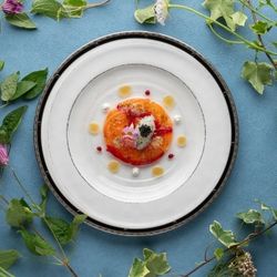 ★新料理DEBUT！★贅沢和洋ハーフコース試食付 GWフェア