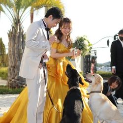 【先着２組】７月・８月サマー挙式限定／お持ち込みフリー相談会