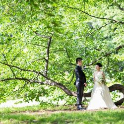 アットホーム婚：貸切ガーデン×流しテーブル×ナチュラルW体験