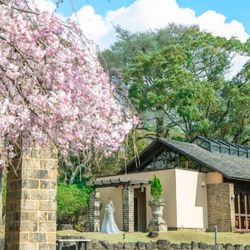 会場イチオシ桜満開フェア◇最大130万優待＆春を感じるコース試食＆貸切見学