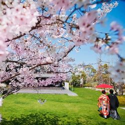 【期間限定】贅沢試食×花咲くガーデン◆桜薫る春庭体験フェア