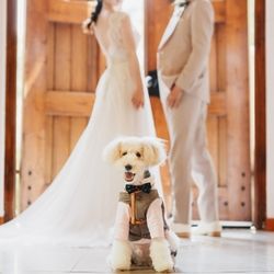 【ペットと一緒に】森のチャペル×リングドッグ体験*無料試食付