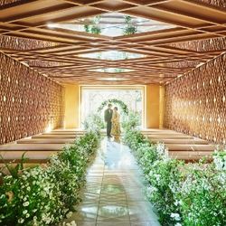 【和婚】光×緑溢れる挙式＆ゲスト目線で贅沢試食＊上質体験