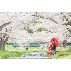 【年始限定！】無料試食＆新春SPプラン相談会！！