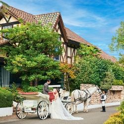 ＼年イチBIG／【カプセル抽選会付】ドレス×4万美食試食