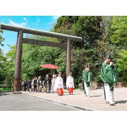 ＼新緑に包まれて／ GWフェア。.*・゜