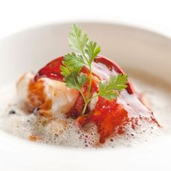 フェア参加前におススメ！後日オマール海老＆牛フィレ試食招待♪