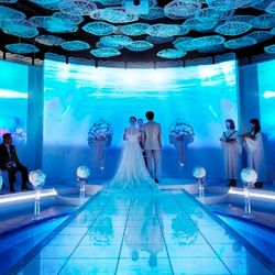 【新春お年玉特典】ギフト5千円×豪華試食×最大175万円特典