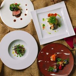 ［料理重視派］牛フィレ×伊勢海老のWメイン無料試食相談会◇