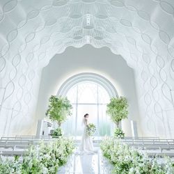 ＼ドレス1着無料×牛フィレ試食／最大150万優待！式場丸ごと見学