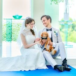 【ペット婚をご検討の方へ】試食＆ペット婚限定特典付き相談会