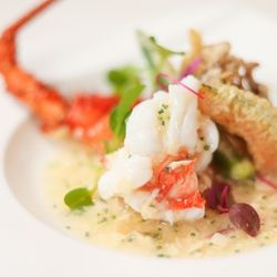 【土日に負けない】お肉と鮮魚でメインが選べる無料コース試食