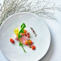 【1件目来館がお得☆】料理2.7万円試食×成約で64万円優待
