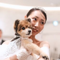 【愛犬☆ペットと一緒にブライダルフェア♪】試食＆特典付き