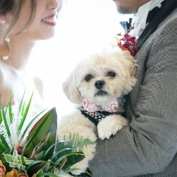 《ペットと一緒のウエディングご希望の方へ》専用相談会