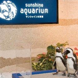 【年内挙式なら】空と海の融合★人気絶景レストラン＆水族館挙式