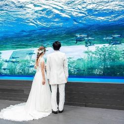 【直前予約OK】クイックフェア◇空飛ぶペンギンも見学×相談会