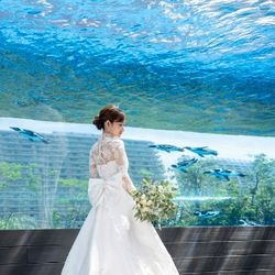 【直前予約OK】クイックフェア◇空飛ぶペンギンも見学×相談会