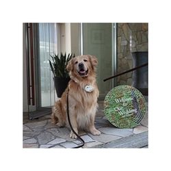 【来館特典5000円×無料試食付】ペットウエディング相談会