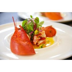 【1件目のご来館がおトク】シェフ厳選の料理試食×絶景挙式体験