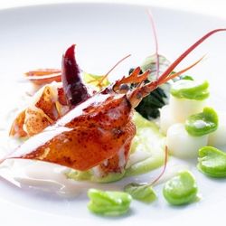 【7年連続ミシュラン掲載】シェフ渾身のフランス料理コース試食