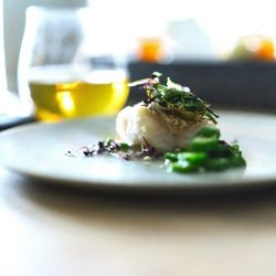 当館人気NO1フェア★IWAI表参道が人気の理由をALL体験