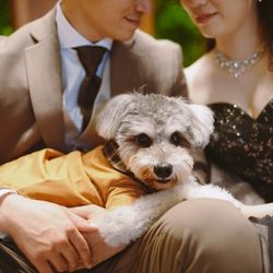 【ペット婚相談会♪】全館貸し切り贅沢見学会！豪華試食付き