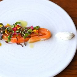 豪華試食つき*【オープン記念＊新レストランW体験☆彡 】