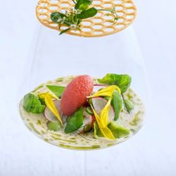 【話題の最新レストランW】豪華試食×ドレス試着×体験型フェア