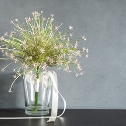 ニューオープンの会場へ行こう♪豪華3大特典*クレイジー相談会