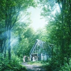 軽井沢の自然を動画で体感！リアルWDフェア≪オンライン開催≫