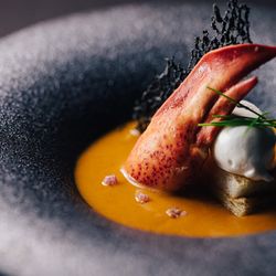 【3組限定】ゲスト満足度◎\三ツ星シェフ★厳選コース料理*無料試食!/