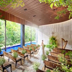 ザ・テンダーハウス（THE TENDER HOUSE）のカバー写真