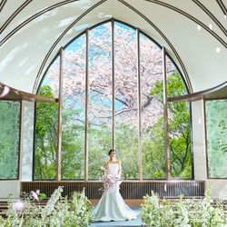 Hilltop Resort YAMANOUE(ヒルトップリゾート 福岡内)のカバー写真