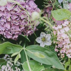 中伊豆ワイナリーシャトーT.Sの会場装飾写真3枚目