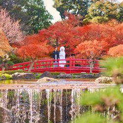 【1万坪の日本庭園】本格神殿・庭見え会場見学×『絶景ビュッフェ』ご招待＆フェア成約特典付