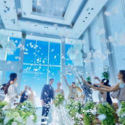 ＼150万優待＆4万Gift／緑＆光ガーデン×リニューアル試食