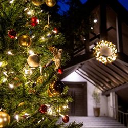 【Xmas限定】豪華4品試食×全館グランドオープン記念フェア