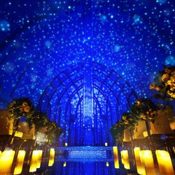 【ギフト2万付】厳選和牛*4万試食×ドレス見学×140万特典