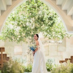 支持率◎憧れ花嫁FAIR*シンボルツリーの大聖堂*ドレス×貸切会場