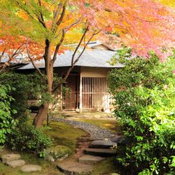 ザ・プリンス京都宝ヶ池のその他写真4枚目