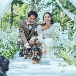 【愛犬と一緒に結婚式】大切な家族の一員と挙式+披露宴を叶える
