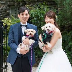 【ペット同伴ウエディング】大切な家族と一緒に過ごす特別フェア