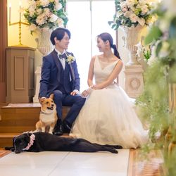 【愛犬家のみなさまへ♪】愛犬と一緒にウェディング 相談会