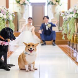 【愛犬家のみなさまへ♪】愛犬と一緒にウェディング 相談会