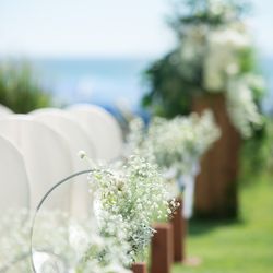 大磯プリンスホテルの庭・ガーデン写真13枚目