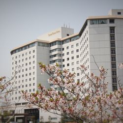 THE　HAMANAKOの全体イメージ写真1枚目