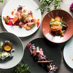 15大特典【料理ランクUP優待】国産牛&真鯛*豪華試食付き*フェア